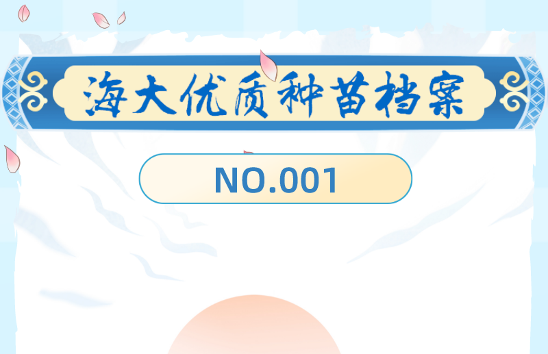 官網(wǎng)封面.png